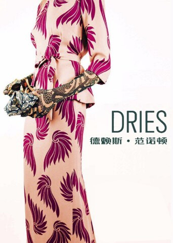 德赖斯·范诺顿