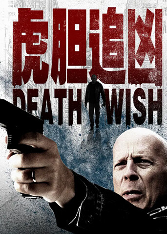 虎胆追凶普通话版