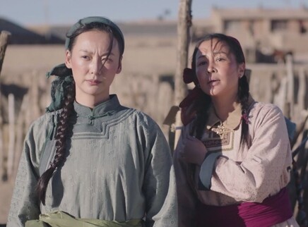 国家孩子 27集
