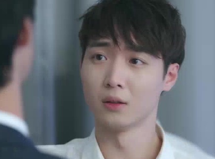 Boss爱上鸟 24集
