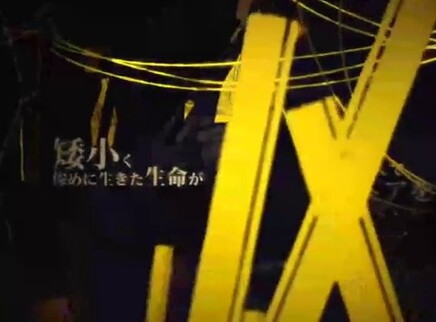 圈住那个9 12集