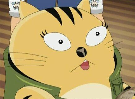 星猫系列之星猫侦探 16集