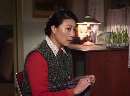 一马换三羊 16集