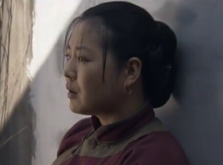 党的女儿 3集