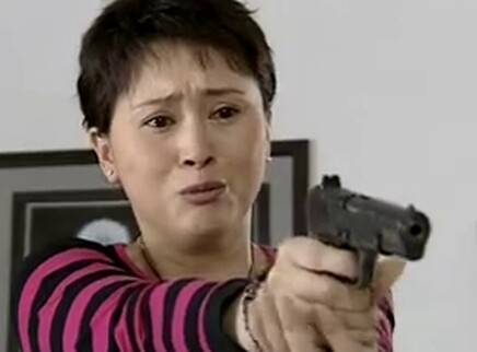 天不藏奸 22集