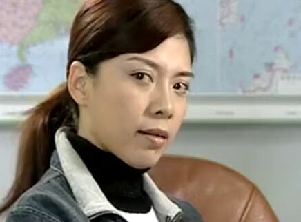天不藏奸 12集