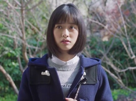 流星花园 DVD版 40集
