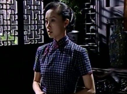 敢死队 14集