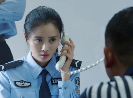 学警旋风 10集