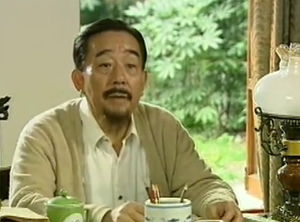 上海秘密战 15集