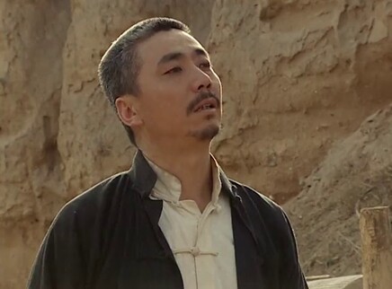 双枪李向阳 19集