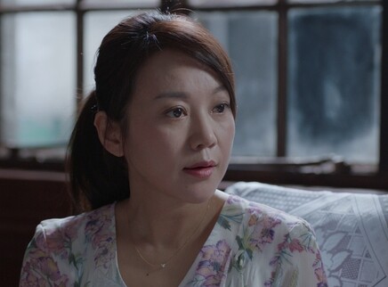 少年派 DVD版 31集