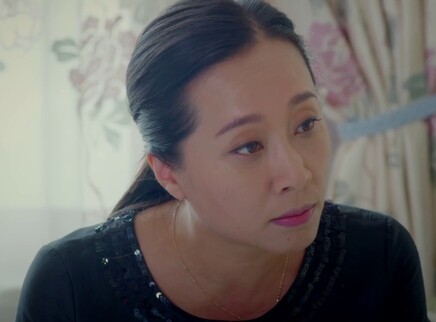 乡亲乡爱 25集