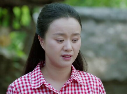 兰桐花开 15集