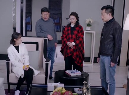 我和我的儿女们 3集