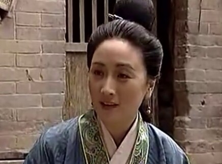大宋王朝赵匡胤 21集