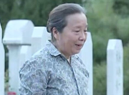 爸爸叫红旗 28集