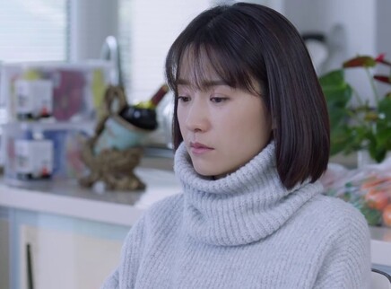 我和我的儿女们 20集
