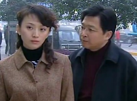 我们的知青年代 20集