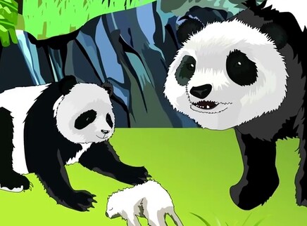 小笨熊之熊猫宝贝 3集