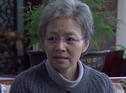 妈妈的花样年华 20集
