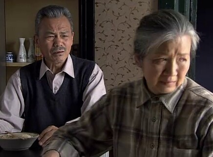 老伴 21集