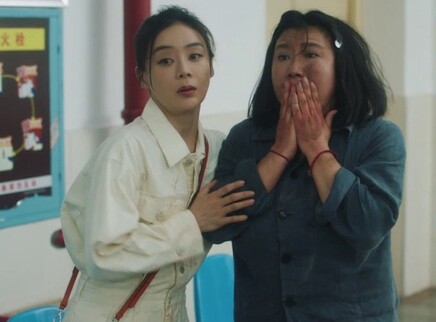 江山如此多娇 14集