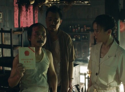 江山如此多娇 DVD版 25集