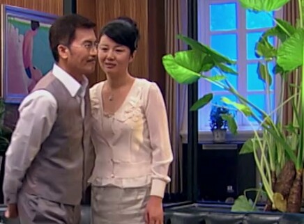 爱情真善美 29集