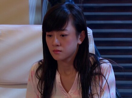 爱情真善美 8集