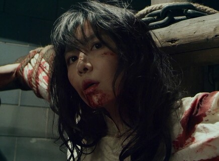 光芒 DVD版 39集
