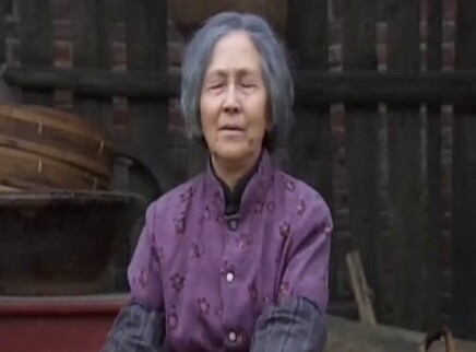 村支书 22集