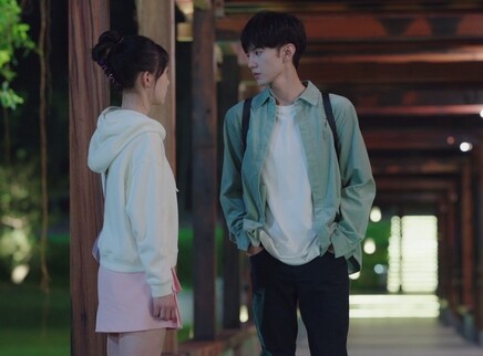 暗格里的秘密 16集