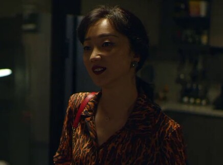 江照黎明 9集