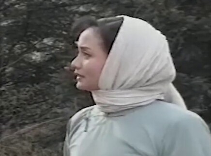 烟花女驼龙 6集