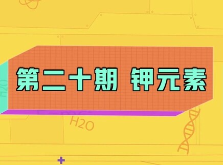 小小化学家 20集