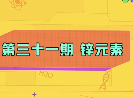 小小化学家 31集