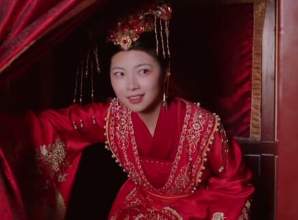 步步惊心的俏公子 24集