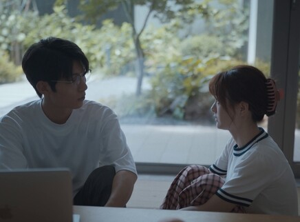 婚事 12集