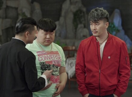 法网追凶 22集