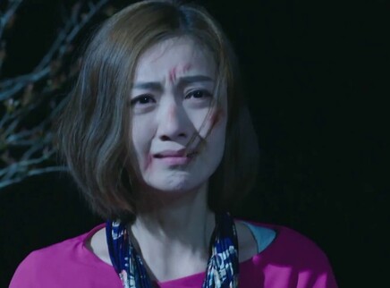 法网追凶 32集