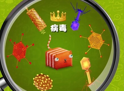 问号猫 第二季 10集