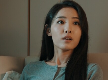 拨开迷雾 13集