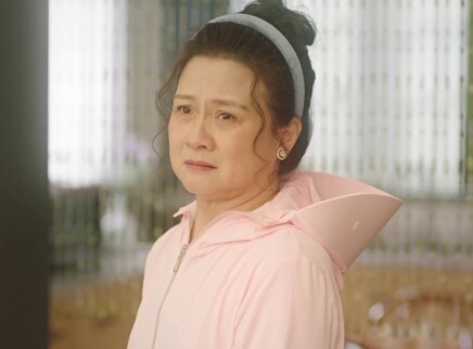 大妈的世界 贺岁篇 6集