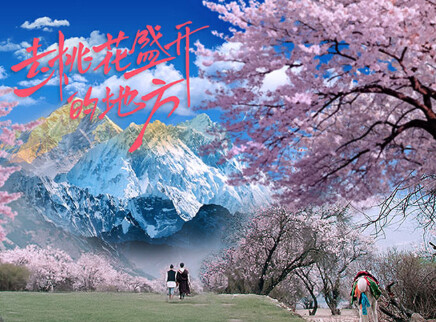 去桃花盛开的地方 6集