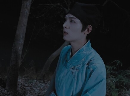 狸猫书生 15集