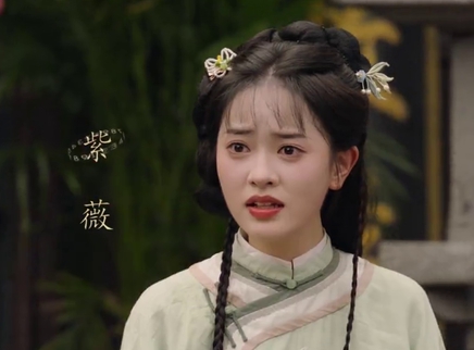还珠 越南语版 5集
