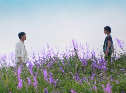 乌蒙深处 16集
